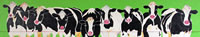 9 Cows - Springtime Greeting